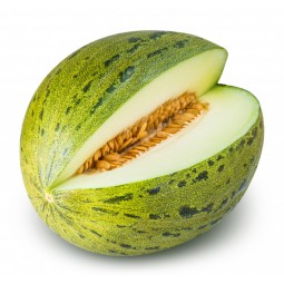 Melon vert – JMF partenariat